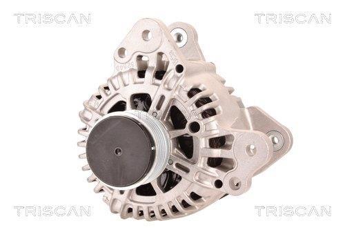 Alternateur Triscan A/S 8310 10169