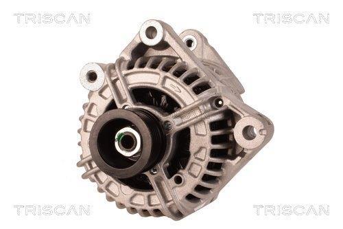 Alternateur Triscan A/S 8310 10173