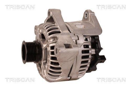 Alternateur Triscan A/S 8310 10173