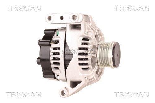 Alternateur Triscan A/S 8310 10174