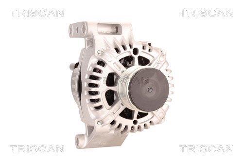 Alternateur Triscan A/S 8310 10174