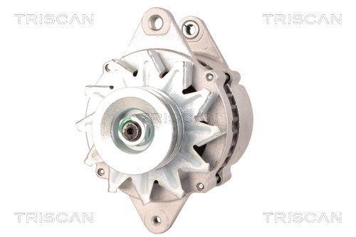 Alternateur Triscan A/S 8310 10174