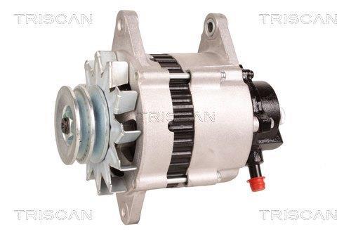 Alternateur Triscan A/S 8310 10174