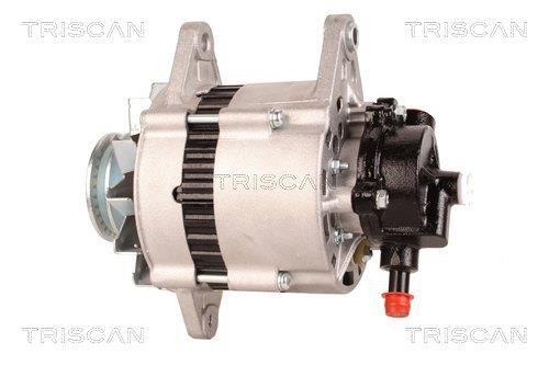 Alternateur Triscan A/S 8310 10174