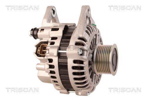 Alternateur Triscan A/S ref. 8310 10175