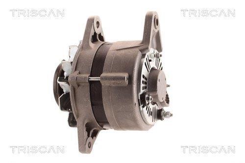 Alternateur Triscan A/S ref. 8310 10177