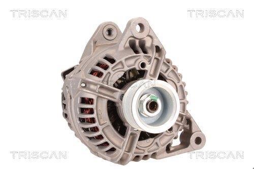Alternateur Triscan A/S 8310 10178
