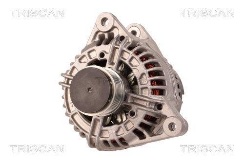 Alternateur Triscan A/S 8310 10178