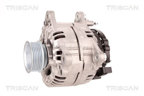 Alternateur Triscan A/S 8310 10180
