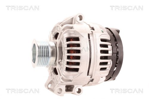 Alternateur Triscan A/S 8310 10181
