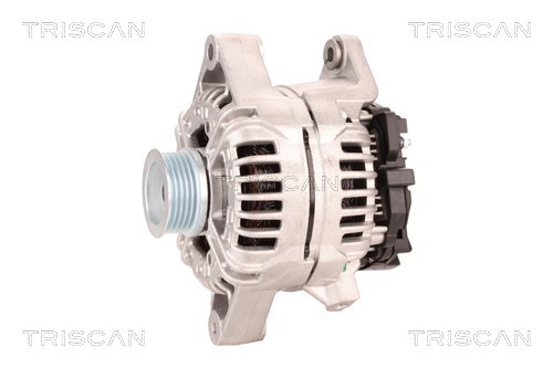 Alternateur Triscan A/S 8310 10183
