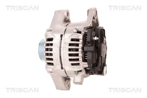 Alternateur Triscan A/S 8310 10183