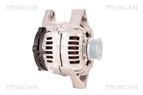 Alternateur Triscan A/S 8310 10183