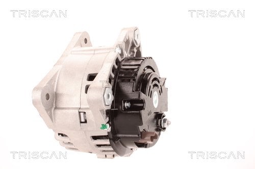 Alternateur Triscan A/S 8310 10184