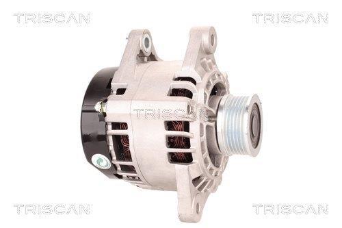 Alternateur Triscan A/S 8310 11001