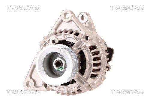 Alternateur Triscan A/S 8310 11001