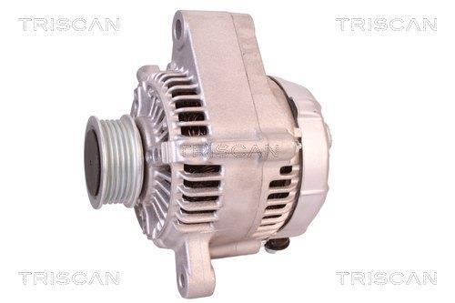 Alternateur Triscan A/S 8310 11003