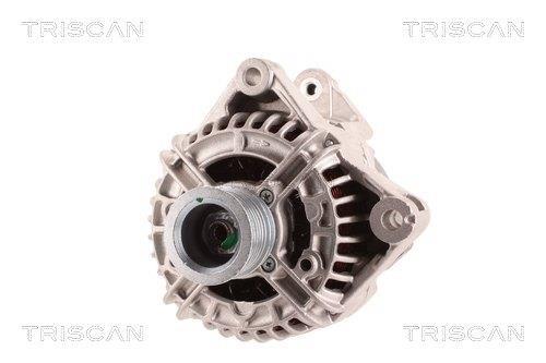 Alternateur Triscan A/S 8310 11006