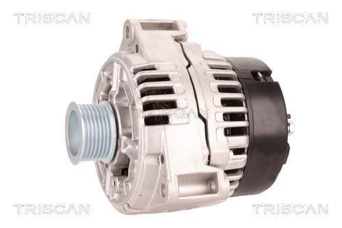 Alternateur Triscan A/S 8310 11007