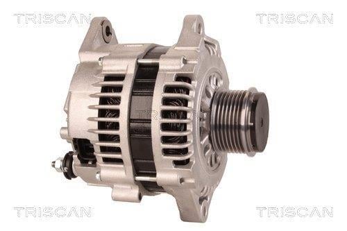 Alternateur Triscan A/S 8310 11017