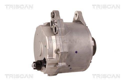 Alternateur Triscan A/S 8310 11020