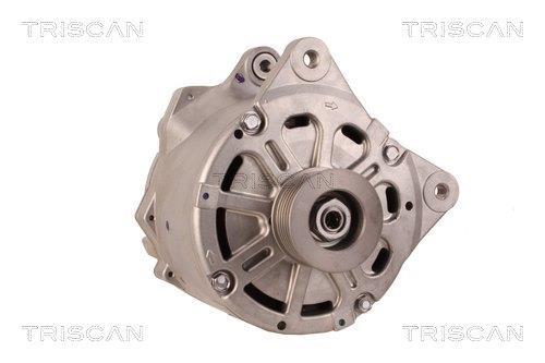 Alternateur Triscan A/S 8310 11020