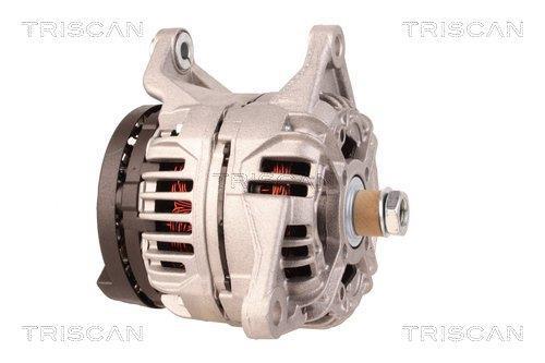 Alternateur Triscan A/S 8310 11025