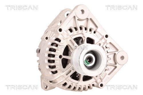 Alternateur Triscan A/S 8310 11030