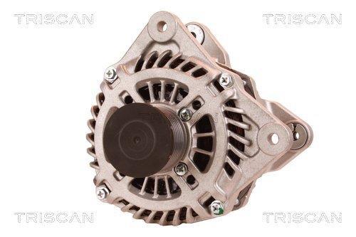 Alternateur Triscan A/S 8310 11030