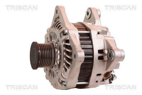 Alternateur Triscan A/S 8310 11030