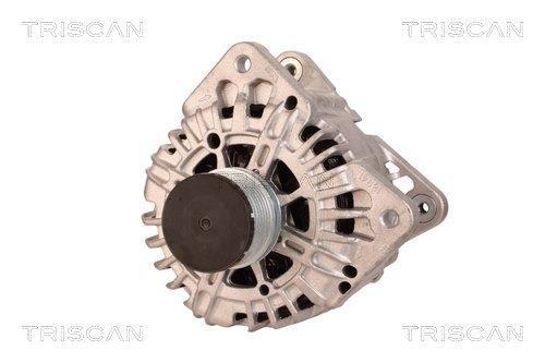 Alternateur Triscan A/S 8310 11034
