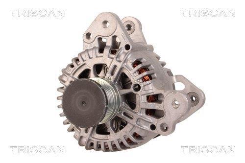 Alternateur Triscan A/S 8310 11038