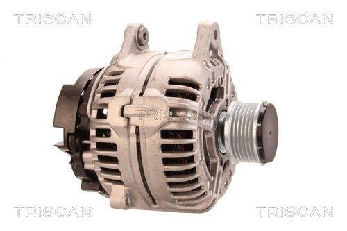 Alternateur Triscan A/S 8310 11042