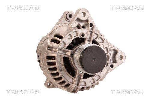 Alternateur Triscan A/S 8310 11042