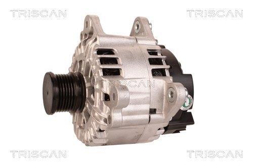 Alternateur Triscan A/S 8310 11042