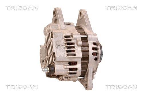 Alternateur Triscan A/S 8310 11046