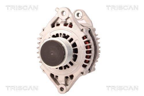 Alternateur Triscan A/S 8310 11046