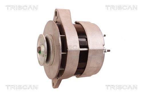 Alternateur Triscan A/S 8310 13004