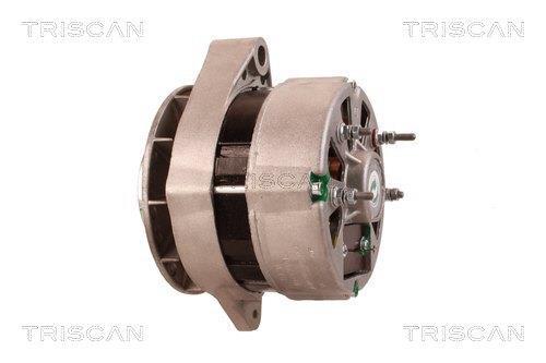 Alternateur Triscan A/S 8310 13004