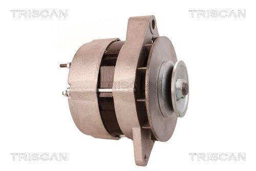 Alternateur Triscan A/S 8310 13004