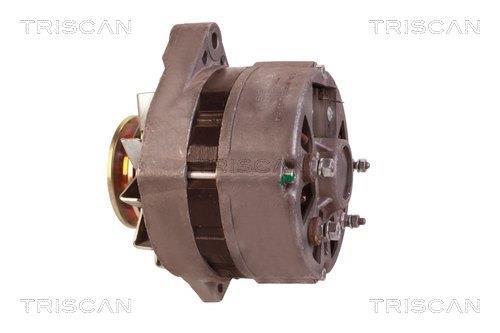 Alternateur Triscan A/S ref. 8310 13010