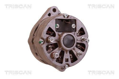 Alternateur Triscan A/S ref. 8310 13010