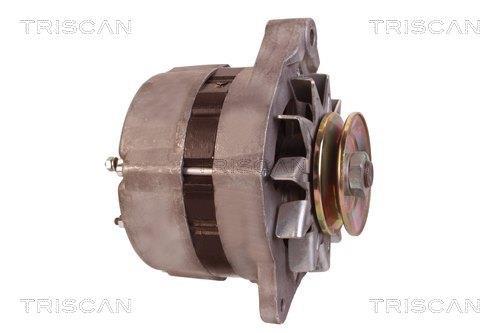 Alternateur Triscan A/S ref. 8310 13010