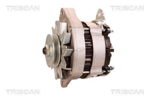 Alternateur Triscan A/S 8310 13014