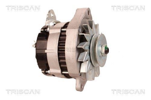Alternateur Triscan A/S 8310 13014