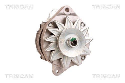 Alternateur Triscan A/S 8310 13014