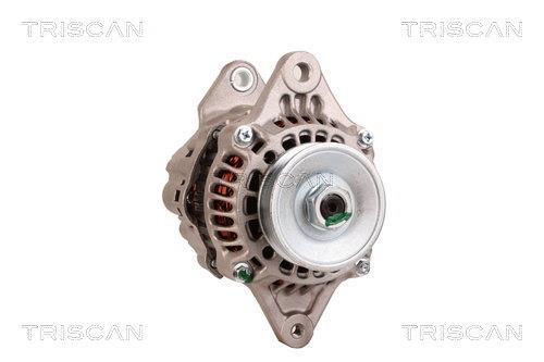 Alternateur Triscan A/S 8310 13018