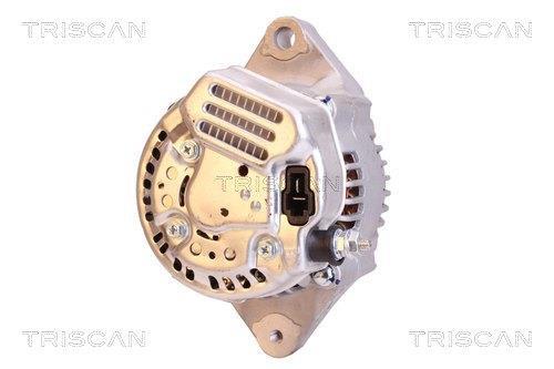 Alternateur Triscan A/S 8310 13019