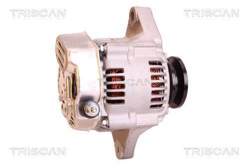 Alternateur Triscan A/S 8310 13019