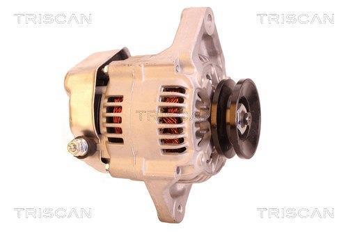 Alternateur Triscan A/S 8310 13019